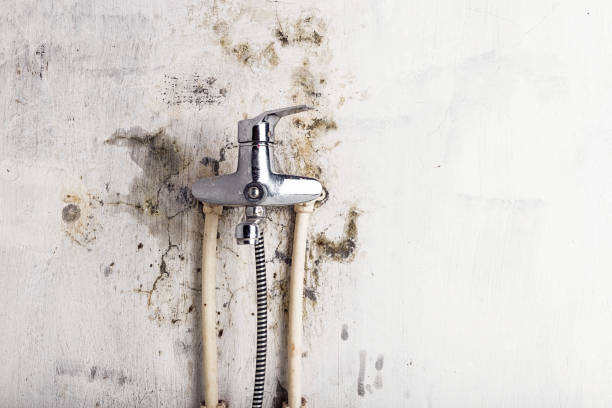 Best Water Damage Restoration  in Oglesby, IL