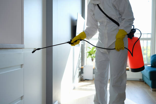 Best Mold Testing  in Oglesby, IL